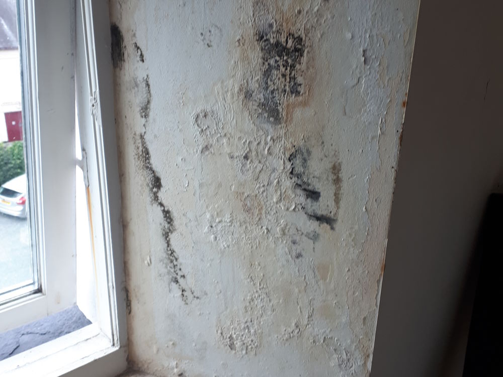 Penetrating Damp